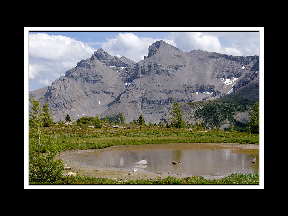 Alberta 202 Canmore