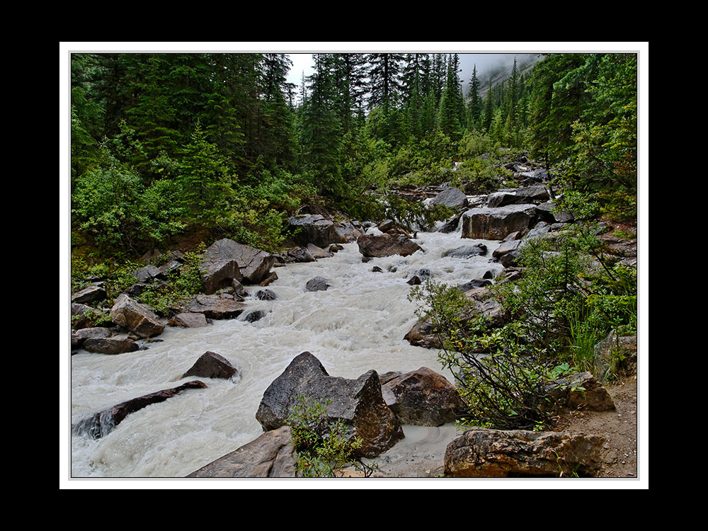 Alberta 224 Canmore