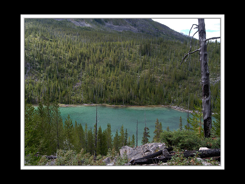 Alberta 240 Shadow Lake Lodge