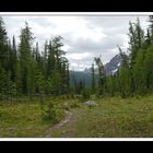 Alberta 247 Shadow Lake Lodge