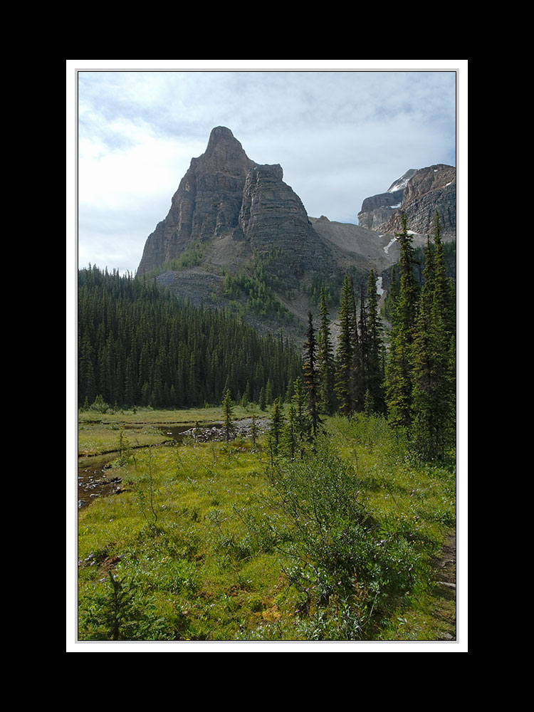 Alberta 264 Shadow Lake Lodge