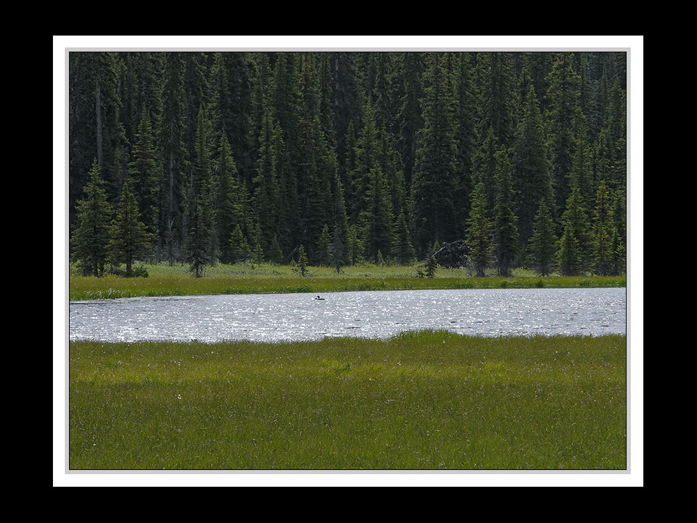 Alberta 267 Shadow Lake Lodge