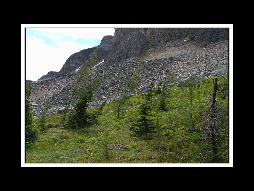 Alberta 276 Shadow Lake Lodge