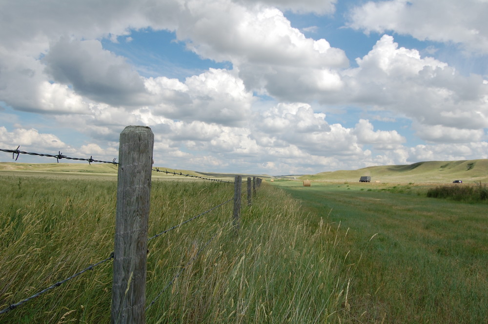 Alberta Canada