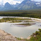 Alberta_Along_Icefields_Parkway-Garon-20170702_7364