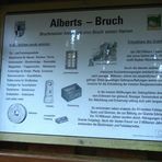 Alberts-Bruch