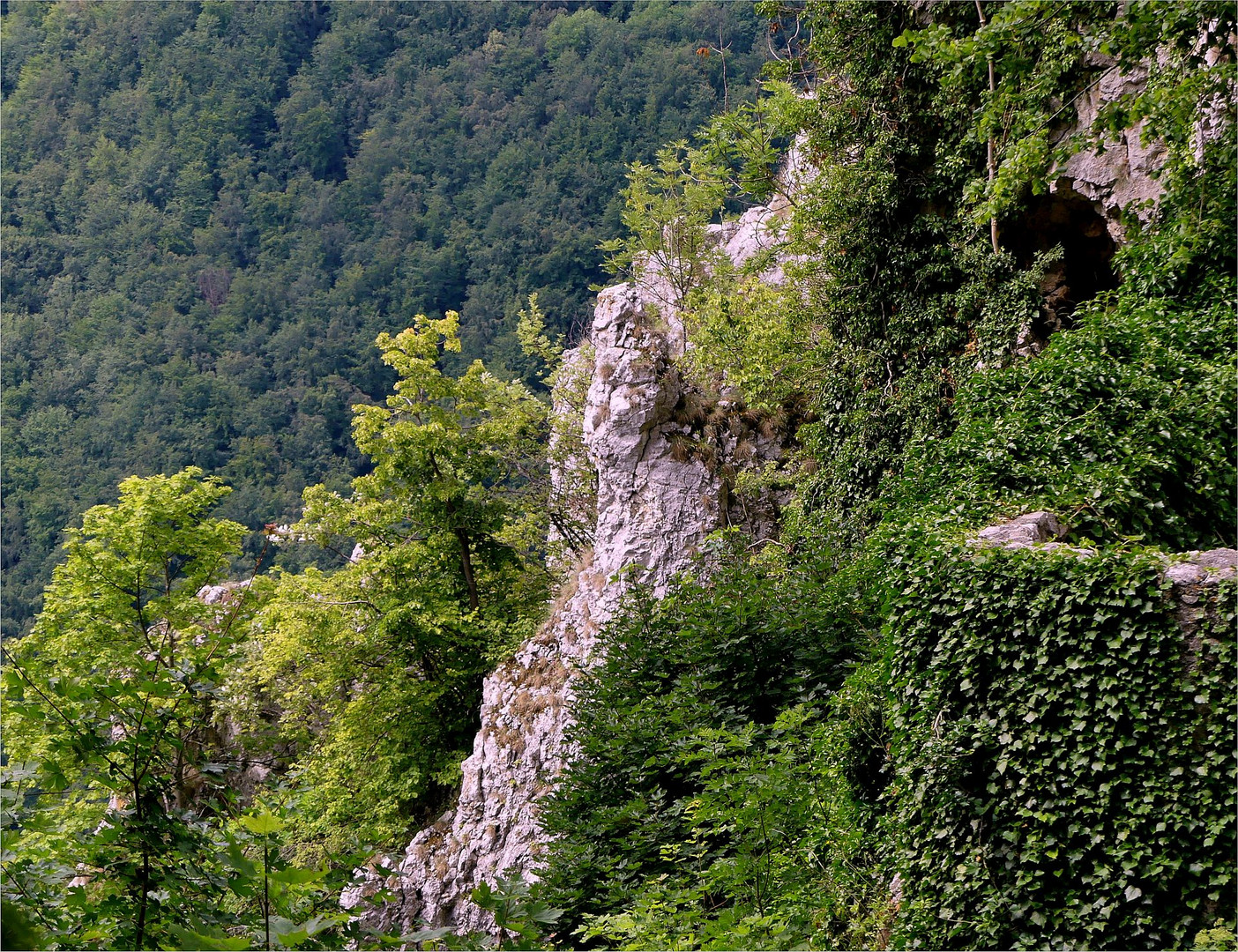 Albfelsen......