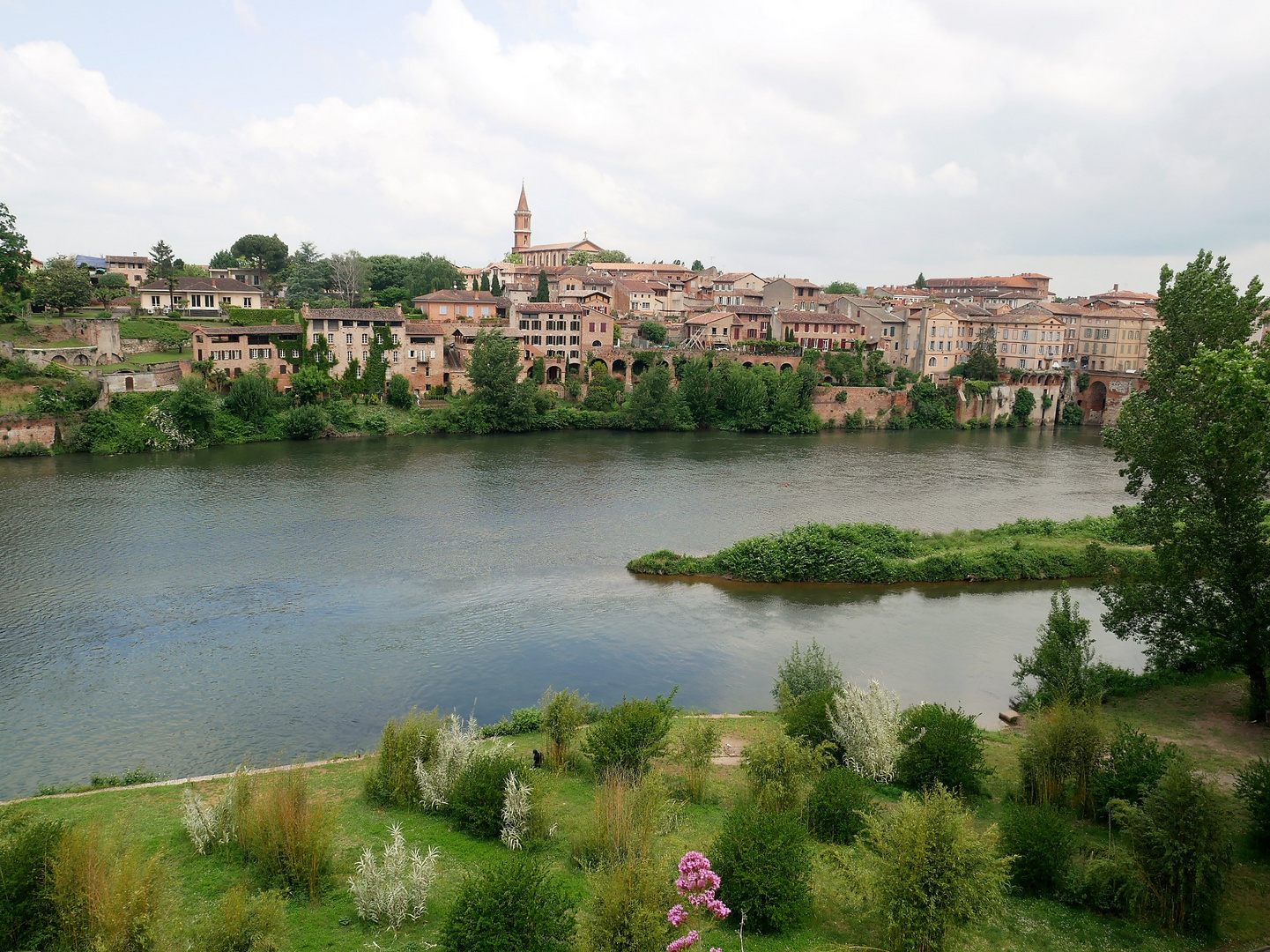 Albi