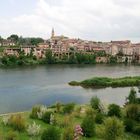 Albi