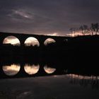 Albi tourne au violet