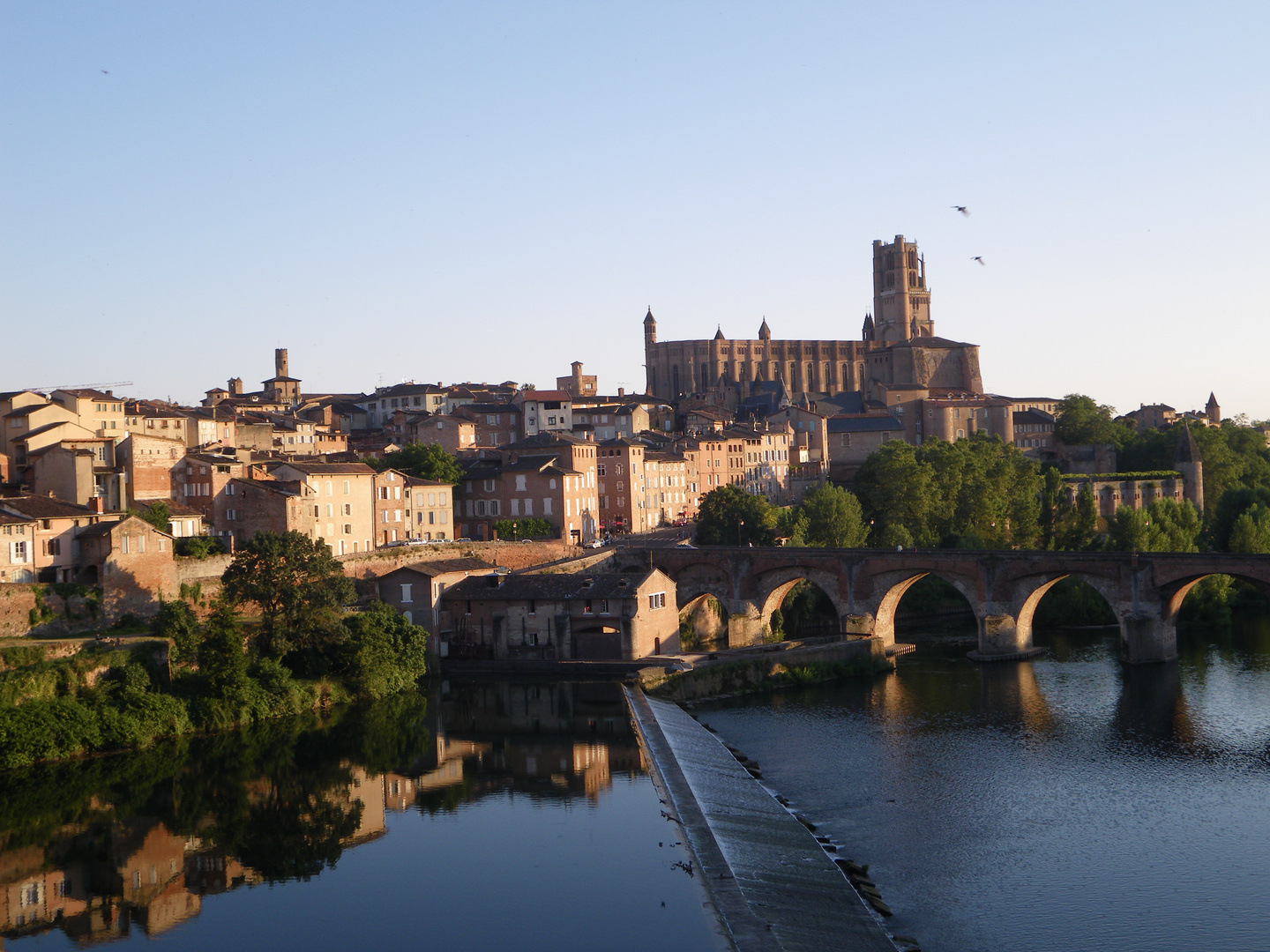 albi, un patrimoine !