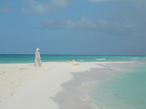 albino...los roques