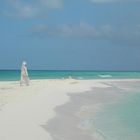 albino...los roques