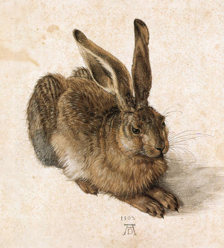 Albrecht Dürer