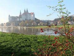 Albrechtsburg in Meißen