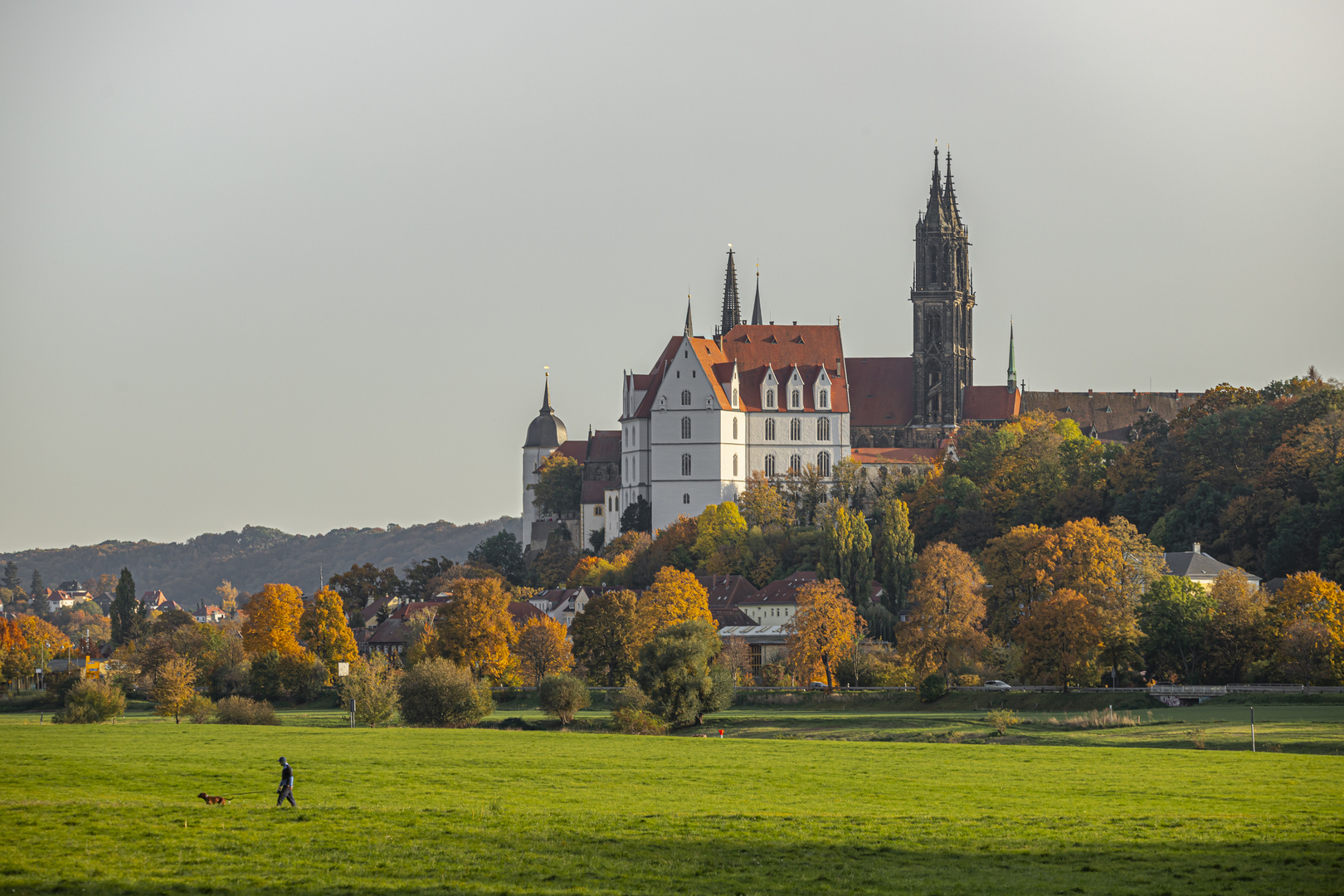 Albrechtsburg Meißen herbstlich gerahmt