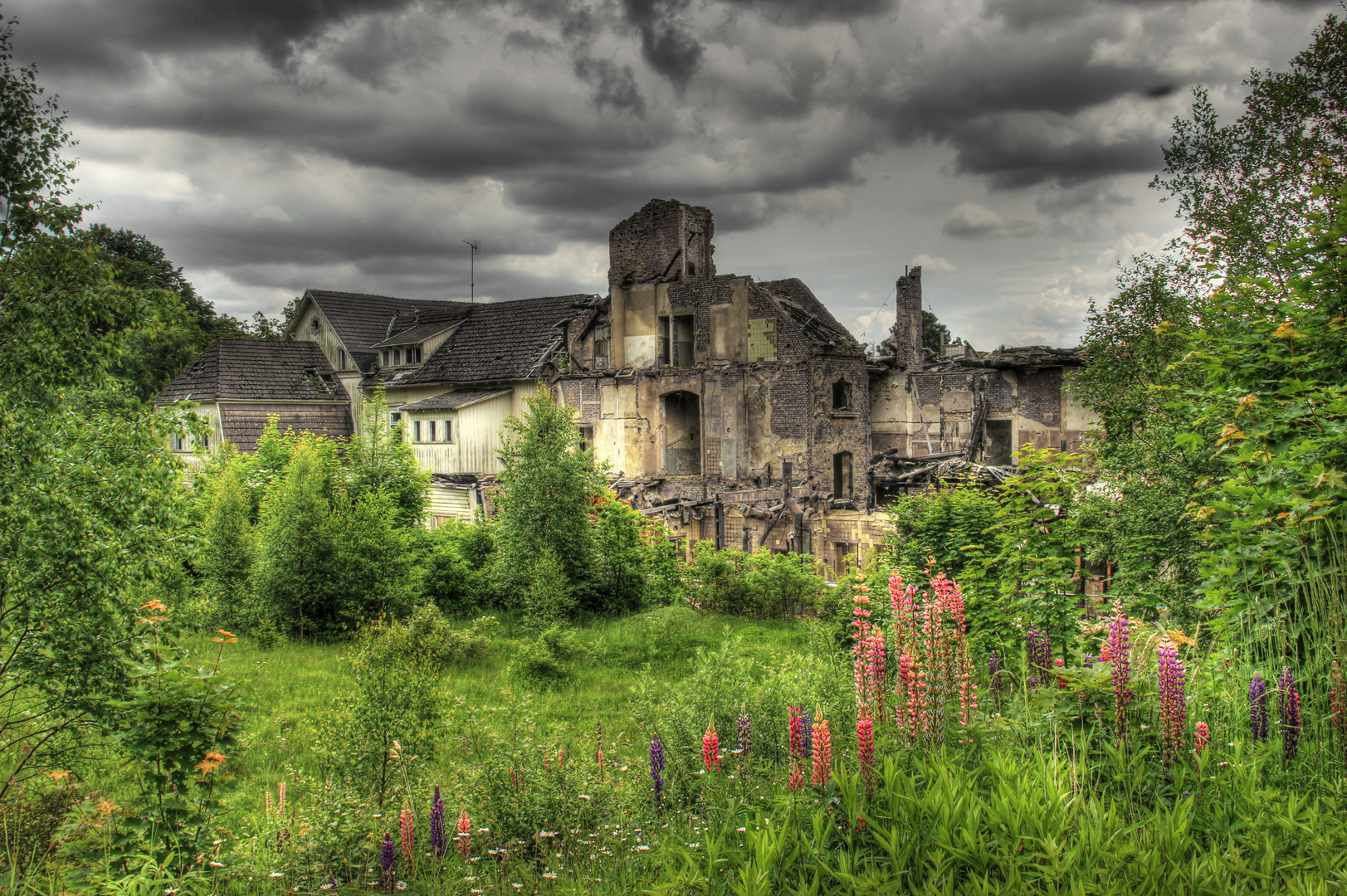 Albrechtshaus (Harz)