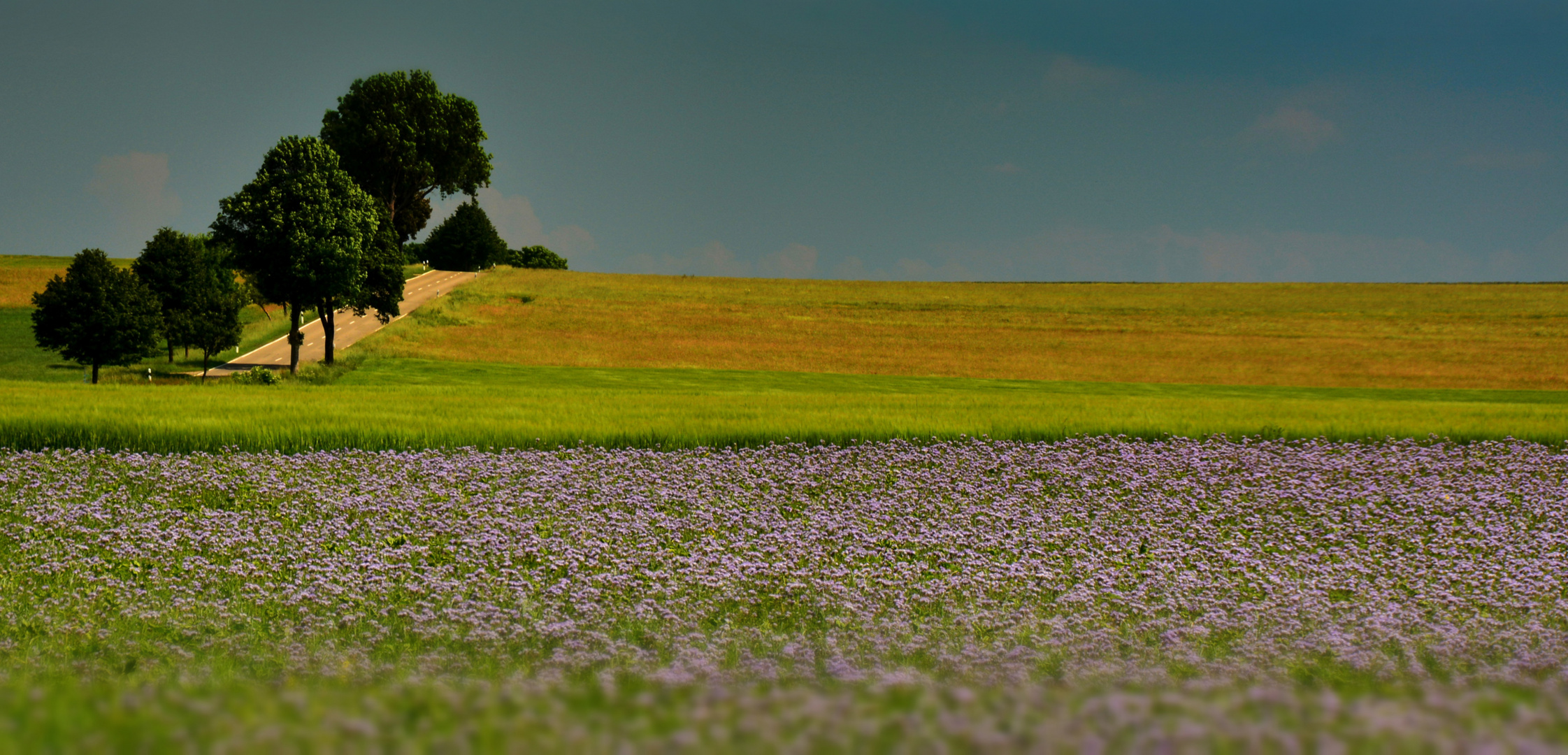 Albsommer