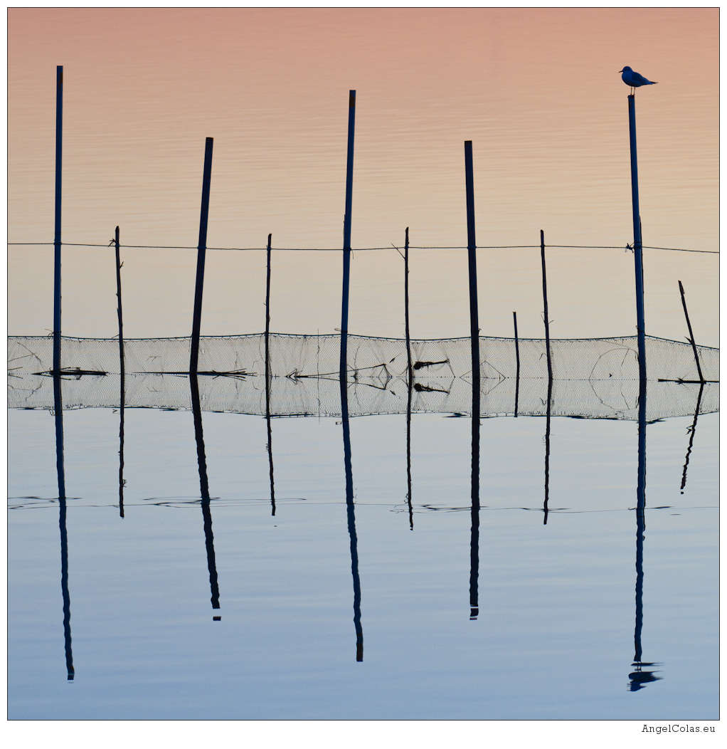 Albufera