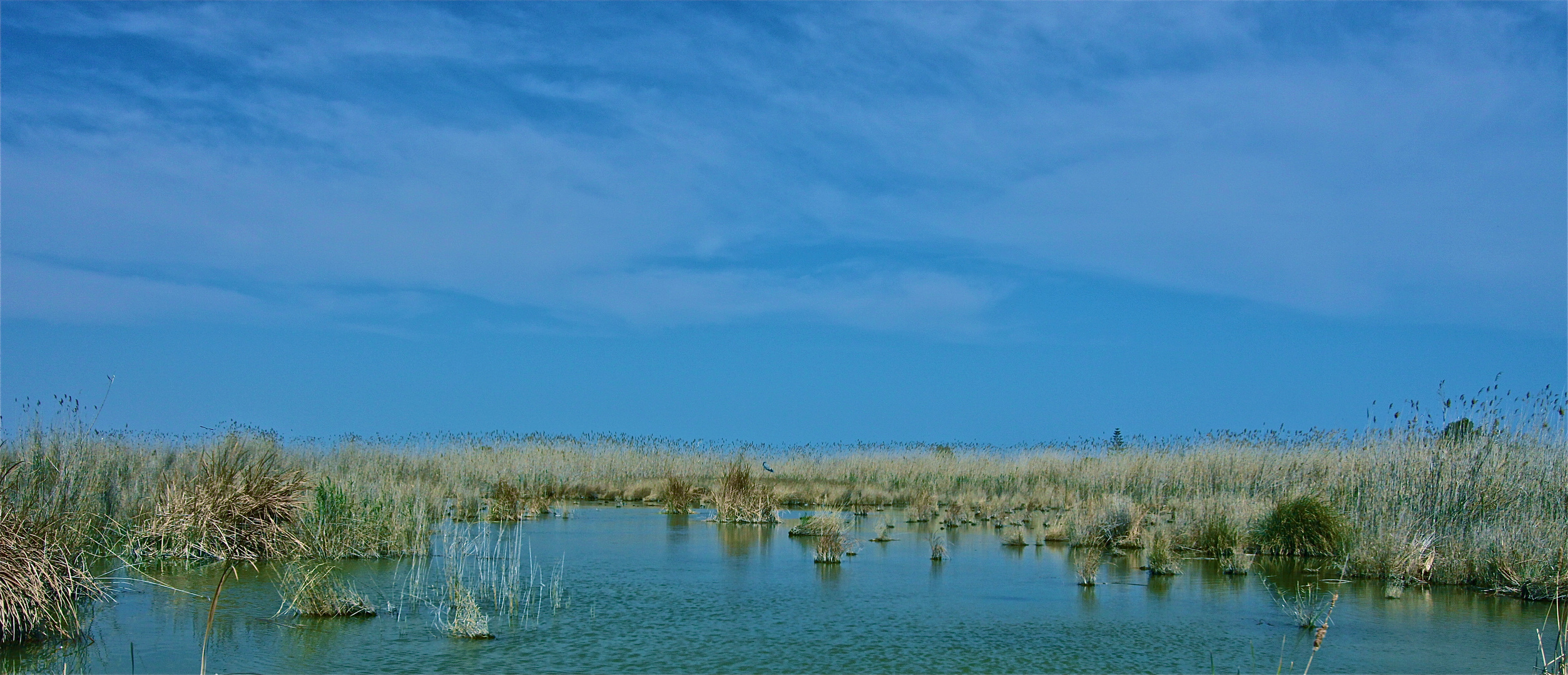 Albufera