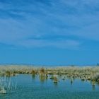 Albufera