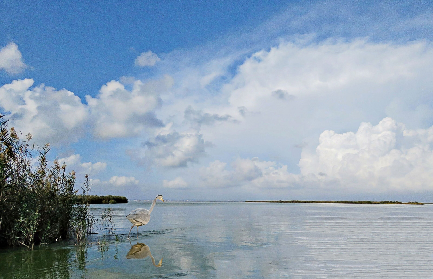 Albufera