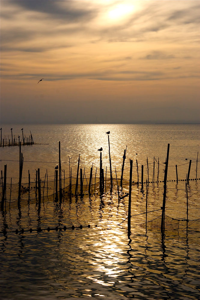 Albufera