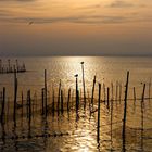 Albufera