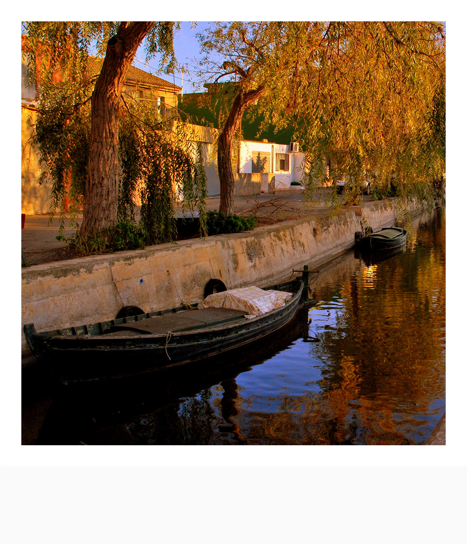 Albufera