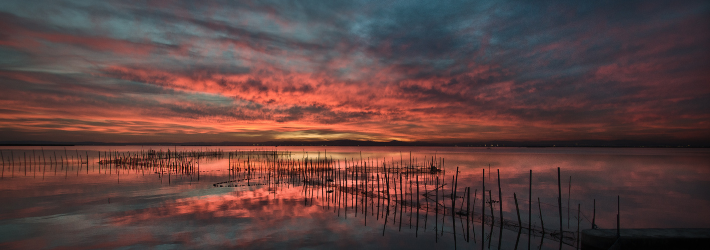 Albufera.