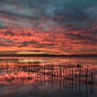 Albufera.