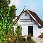 Albufera