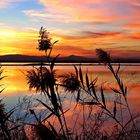 Albufera am Abend