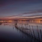 Albufera...