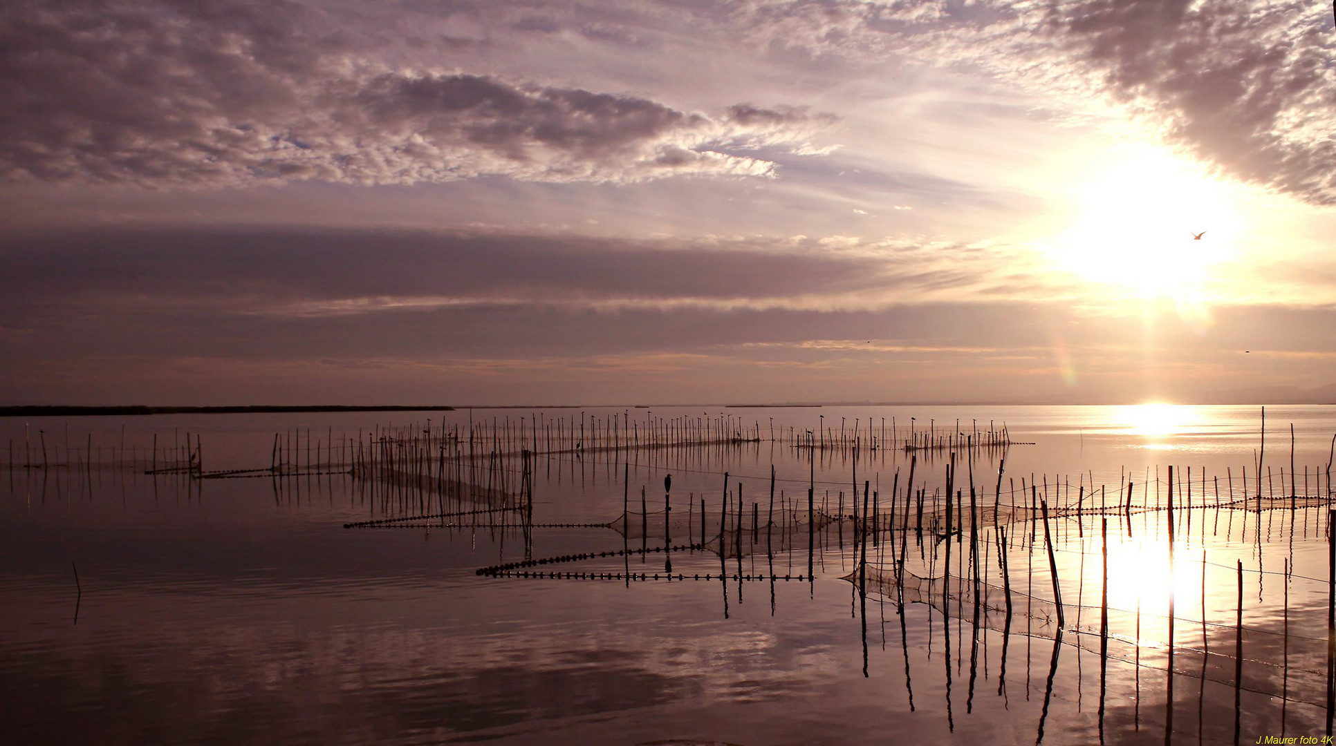 Albufera bei Valencia.