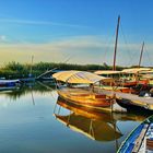 Albufera Boote in El Palmar