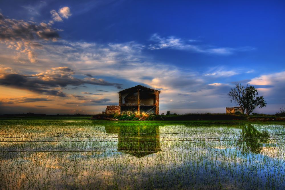 albufera de Enrique Izquierdo 