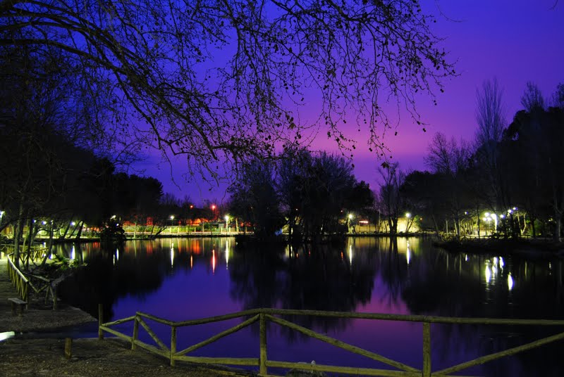 ALBUFERA DE ANNA POR LA NOCHE