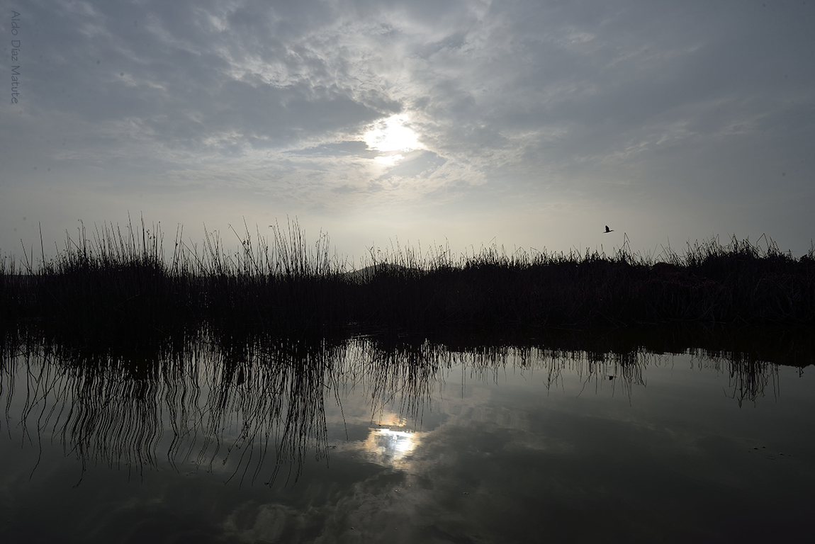 Albufera de Medio Mundo