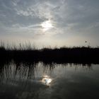 Albufera de Medio Mundo