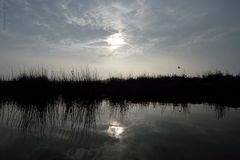 Albufera de Medio Mundo