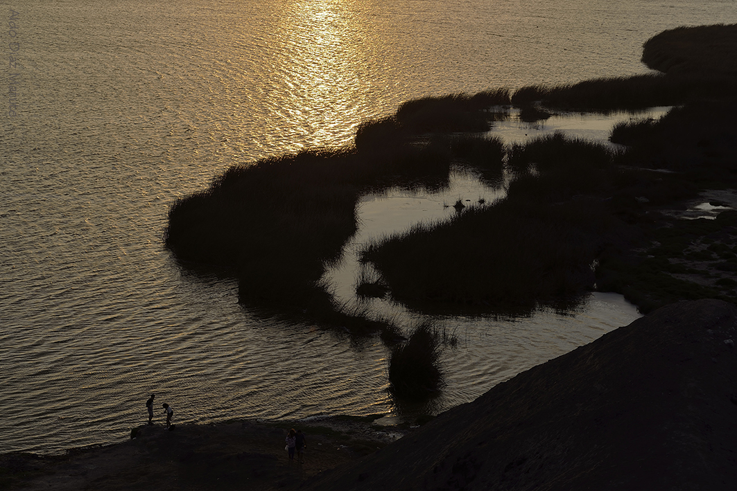 Albufera de Medio Mundo