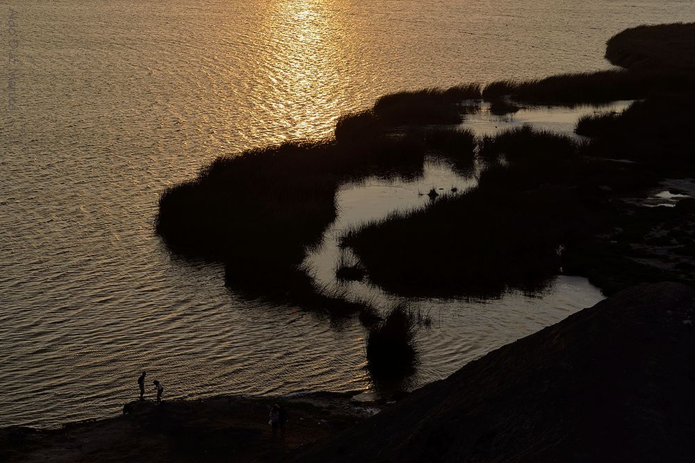 Albufera de Medio Mundo