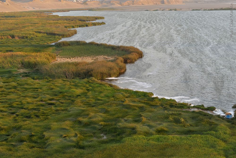 Albufera de Medio Mundo