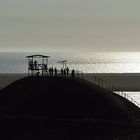 Albufera de Medio Mundo