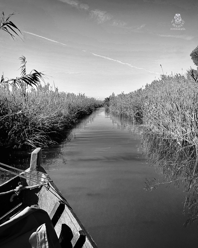 ALBUFERA DE VALENCIA 