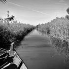 ALBUFERA DE VALENCIA 