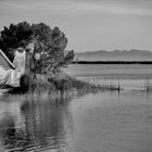 Albufera de Valencia 