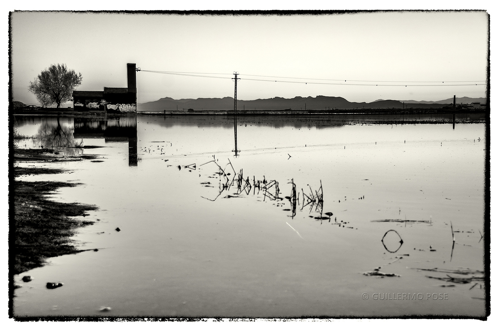 ALBUFERA DE VALENCIA