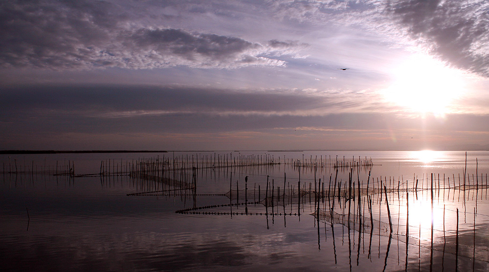 Albufera.....